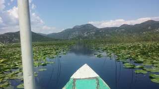 Апартаменты Skadar Lake - Karuč Apartments Karuč Апартаменты с видом на озеро-52